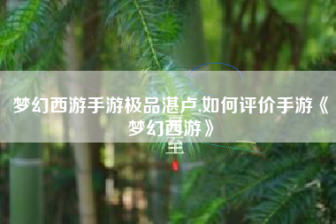 梦幻西游手游极品湛卢,如何评价手游《梦幻西游》