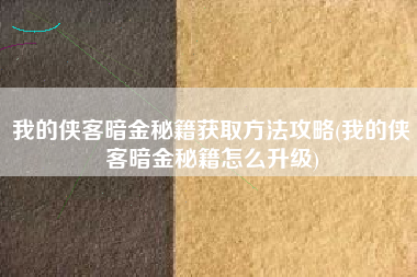 我的侠客暗金秘籍获取方法攻略(我的侠客暗金秘籍怎么升级)