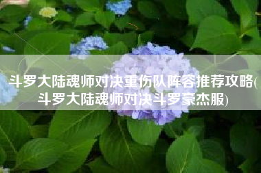 斗罗大陆魂师对决重伤队阵容推荐攻略(斗罗大陆魂师对决斗罗豪杰服)