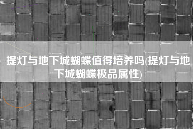 提灯与地下城蝴蝶值得培养吗(提灯与地下城蝴蝶极品属性)