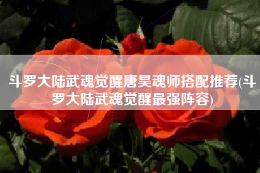 斗罗大陆武魂觉醒唐昊魂师搭配推荐(斗罗大陆武魂觉醒最强阵容)