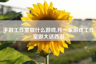 手游工作室做什么游戏,开一家游戏工作室做大话西游