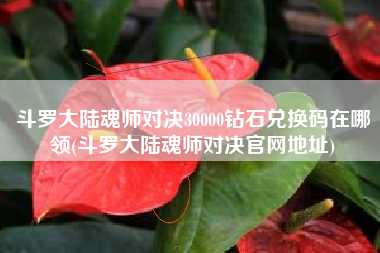 斗罗大陆魂师对决30000钻石兑换码在哪领(斗罗大陆魂师对决官网地址)