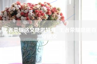 王者荣耀铭文隐匿特性_王者荣耀隐匿百穿铭文
