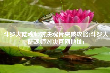 斗罗大陆魂师对决魂骨突破攻略(斗罗大陆魂师对决官网地址)