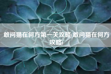 敢问猫在何方第一关攻略(敢问猫在何方攻略)