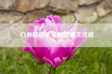 幻书启世录龟鹤灯通关攻略
