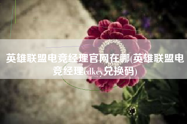 英雄联盟电竞经理官网在哪(英雄联盟电竞经理cdkey兑换码)
