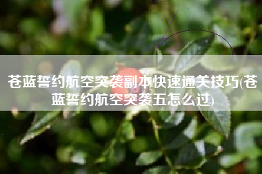 苍蓝誓约航空突袭副本快速通关技巧(苍蓝誓约航空突袭五怎么过)