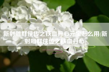 新射雕群侠传之铁血丹心元宝怎么用(新射雕群侠传之铁血丹心)
