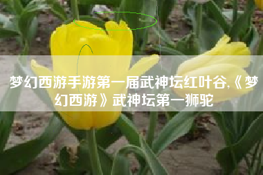 梦幻西游手游第一届武神坛红叶谷,《梦幻西游》武神坛第一狮驼