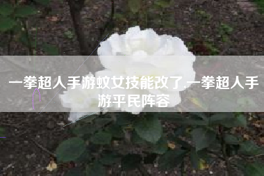 一拳超人手游蚊女技能改了,一拳超人手游平民阵容