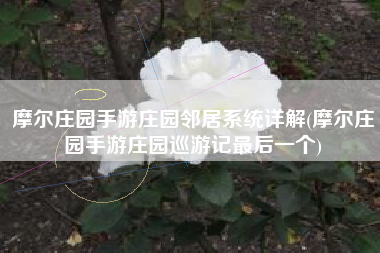 摩尔庄园手游庄园邻居系统详解(摩尔庄园手游庄园巡游记最后一个)