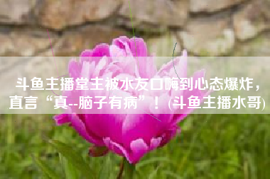 斗鱼主播堂主被水友口嗨到心态爆炸，直言“真--脑子有病”！(斗鱼主播水哥)
