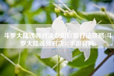 斗罗大陆魂师对决泰坦巨猿打法攻略(斗罗大陆魂师对决37手游官网)