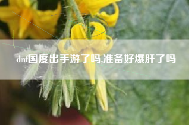 dnf国度出手游了吗,准备好爆肝了吗