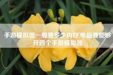 手游模拟器一般要多少内存,电脑要能够开四个手游模拟器