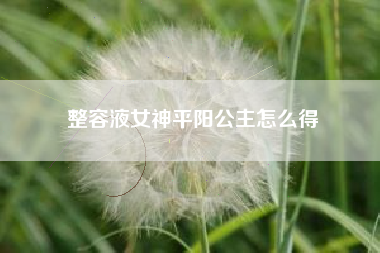整容液女神平阳公主怎么得