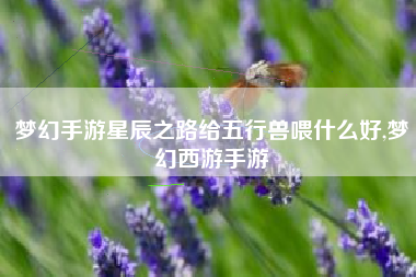 梦幻手游星辰之路给五行兽喂什么好,梦幻西游手游