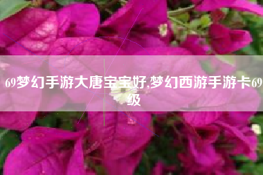 69梦幻手游大唐宝宝好,梦幻西游手游卡69级
