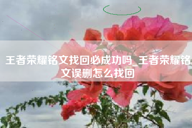 王者荣耀铭文找回必成功吗_王者荣耀铭文误删怎么找回