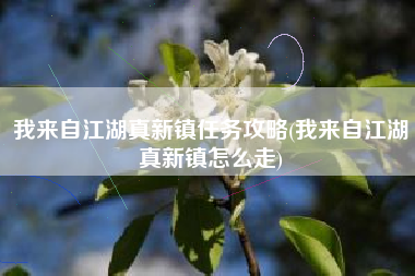 我来自江湖真新镇任务攻略(我来自江湖真新镇怎么走)