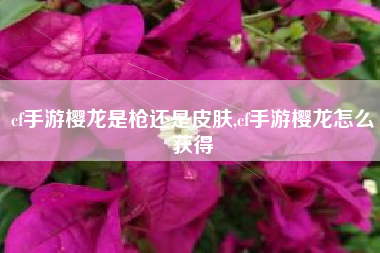 cf手游樱龙是枪还是皮肤,cf手游樱龙怎么获得