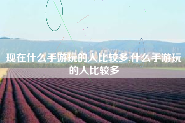 现在什么手游玩的人比较多,什么手游玩的人比较多