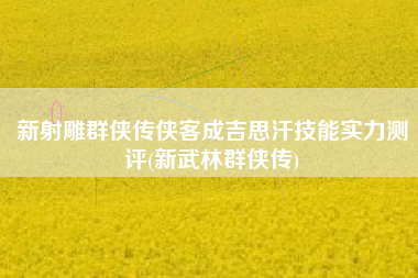 新射雕群侠传侠客成吉思汗技能实力测评(新武林群侠传)