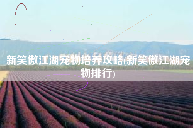 新笑傲江湖宠物培养攻略(新笑傲江湖宠物排行)