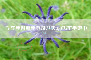 飞车手游新手登录八天,QQ飞车手游中