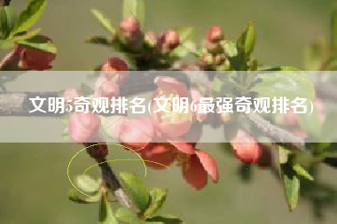 文明5奇观排名(文明6最强奇观排名)