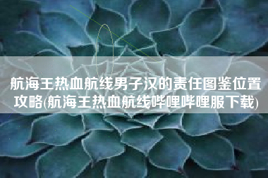 航海王热血航线男子汉的责任图鉴位置攻略(航海王热血航线哔哩哔哩服下载)