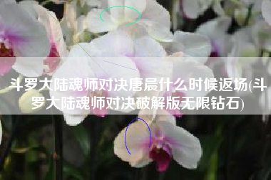 斗罗大陆魂师对决唐晨什么时候返场(斗罗大陆魂师对决破解版无限钻石)