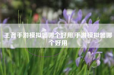王者手游模拟器哪个好用,手游模拟器哪个好用