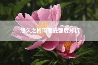 悠久之树玛丽安强度分析