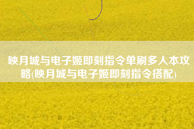 映月城与电子姬即刻指令单刷多人本攻略(映月城与电子姬即刻指令搭配)