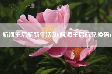 航海王启航新年活动(航海王启航兑换码)