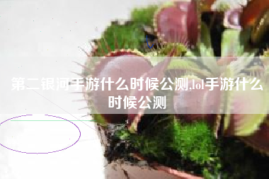第二银河手游什么时候公测,lol手游什么时候公测
