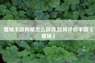 魔域手游狗粮怎么获得,如何评价手游《魔域》