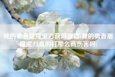 我的勇者屠魔宝刀获得攻略(我的勇者屠魔宝刀真的打那么高伤害吗)