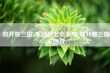 放开那三国3军团战怎么参加(放开那三国3军团战)