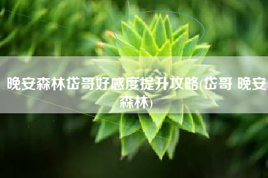 晚安森林岱哥好感度提升攻略(岱哥 晚安森林)