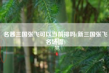 名酱三国张飞可以当前排吗(新三国张飞名场面)