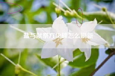 盐与献祭方尖碑怎么刷新