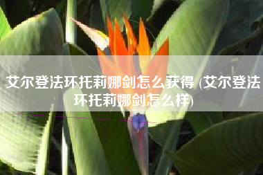 艾尔登法环托莉娜剑怎么获得 (艾尔登法环托莉娜剑怎么样)