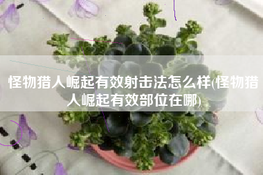 怪物猎人崛起有效射击法怎么样(怪物猎人崛起有效部位在哪)