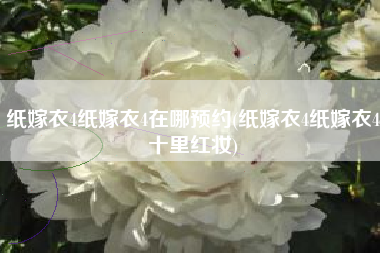 纸嫁衣4纸嫁衣4在哪预约(纸嫁衣4纸嫁衣4十里红妆)