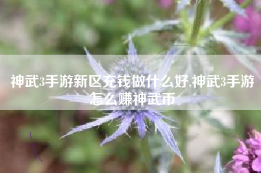 神武3手游新区充钱做什么好,神武3手游怎么赚神武币