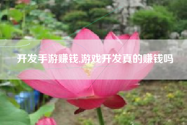开发手游赚钱,游戏开发真的赚钱吗